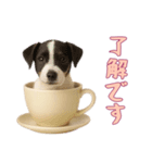 [了解です専用]カップからワンコ（個別スタンプ：4）