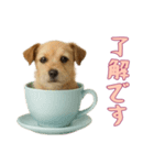 [了解です専用]カップからワンコ（個別スタンプ：8）