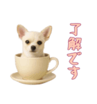[了解です専用]カップからワンコ（個別スタンプ：9）