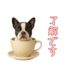 [了解です専用]カップからワンコ（個別スタンプ：12）