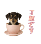 [了解です専用]カップからワンコ（個別スタンプ：13）