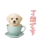 [了解です専用]カップからワンコ（個別スタンプ：14）