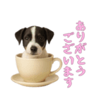 [ありがとうございます]カップからワンコ（個別スタンプ：1）