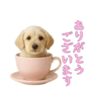 [ありがとうございます]カップからワンコ（個別スタンプ：4）