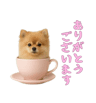 [ありがとうございます]カップからワンコ（個別スタンプ：5）