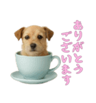 [ありがとうございます]カップからワンコ（個別スタンプ：6）