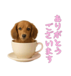 [ありがとうございます]カップからワンコ（個別スタンプ：7）