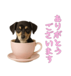 [ありがとうございます]カップからワンコ（個別スタンプ：8）