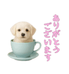 [ありがとうございます]カップからワンコ（個別スタンプ：9）