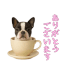 [ありがとうございます]カップからワンコ（個別スタンプ：10）