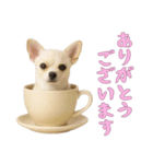 [ありがとうございます]カップからワンコ（個別スタンプ：15）