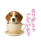 [ありがとうございます]カップからワンコ（個別スタンプ：16）
