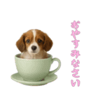 [おやすみなさい専用]カップからワンコ（個別スタンプ：2）