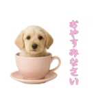 [おやすみなさい専用]カップからワンコ（個別スタンプ：4）