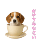 [おやすみなさい専用]カップからワンコ（個別スタンプ：5）