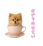 [おやすみなさい専用]カップからワンコ（個別スタンプ：7）