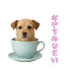 [おやすみなさい専用]カップからワンコ（個別スタンプ：9）