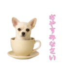 [おやすみなさい専用]カップからワンコ（個別スタンプ：10）