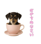 [おやすみなさい専用]カップからワンコ（個別スタンプ：13）