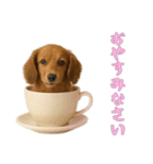 [おやすみなさい専用]カップからワンコ（個別スタンプ：14）