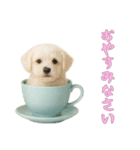 [おやすみなさい専用]カップからワンコ（個別スタンプ：15）