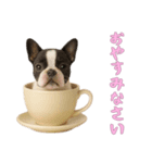 [おやすみなさい専用]カップからワンコ（個別スタンプ：16）