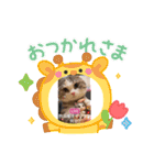 オリジナル猫可愛い飲兵衛オヤジ（個別スタンプ：5）