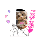 オリジナル猫可愛い飲兵衛オヤジ（個別スタンプ：10）