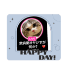 オリジナル猫可愛い飲兵衛オヤジ（個別スタンプ：11）