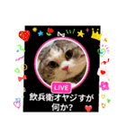 オリジナル猫可愛い飲兵衛オヤジ（個別スタンプ：15）