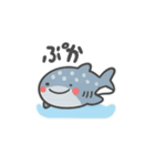 ぷかサメ〜ジンベエ〜（個別スタンプ：1）