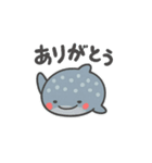 ぷかサメ〜ジンベエ〜（個別スタンプ：2）