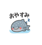 ぷかサメ〜ジンベエ〜（個別スタンプ：3）