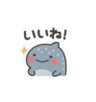 ぷかサメ〜ジンベエ〜（個別スタンプ：9）