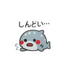 ぷかサメ〜ジンベエ〜（個別スタンプ：20）