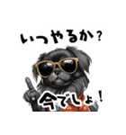 ロックで時々オネェな黒ペキニーズ（個別スタンプ：5）