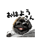 ロックで時々オネェな黒ペキニーズ（個別スタンプ：8）
