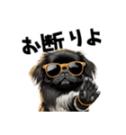 ロックで時々オネェな黒ペキニーズ（個別スタンプ：11）