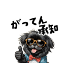 ロックで時々オネェな黒ペキニーズ（個別スタンプ：13）