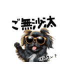 ロックで時々オネェな黒ペキニーズ（個別スタンプ：20）