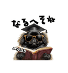 ロックで時々オネェな黒ペキニーズ（個別スタンプ：29）