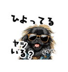 ロックで時々オネェな黒ペキニーズ（個別スタンプ：32）