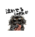 ロックで時々オネェな黒ペキニーズ（個別スタンプ：38）