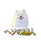 犬味 ヘソの達人（個別スタンプ：1）