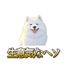 犬味 ヘソの達人（個別スタンプ：3）