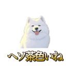 犬味 ヘソの達人（個別スタンプ：5）