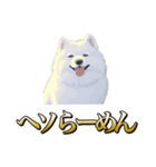 犬味 ヘソの達人（個別スタンプ：9）
