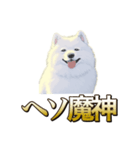 犬味 ヘソの達人（個別スタンプ：10）