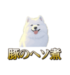 犬味 ヘソの達人（個別スタンプ：13）
