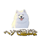 犬味 ヘソの達人（個別スタンプ：14）
